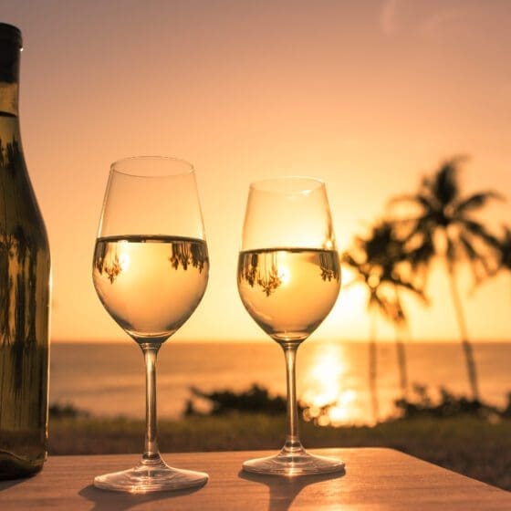 Couple of wineglasses with beautiful tropical view. Private Maui Chef full service private chef dinner by the beach on Maui.