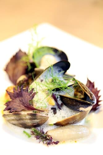 Mussels, saffron foam and shiso